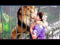 These Animals Don&#39;t Forget Their Owners After Years | Animal Reunion