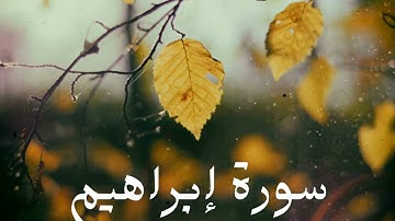 سورة إبراهيم كاملة للشيخ هاني الرفاعي بصوت عذب و جميل و تلاوة رائعة و بدقة عالية ... توقف و أرح قلبك