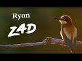 Ryon  zad clip officiel