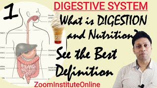 DIGESTION and Absorption:Animal Nutrition: Physiology: Biology XI/NEET: MK Sir: ZOOM INSTITUTE