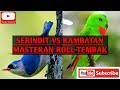 SUARA RAMBATAN VS SERINDIT JERNIH TAJAM COCOK UNTUK MASTERAN