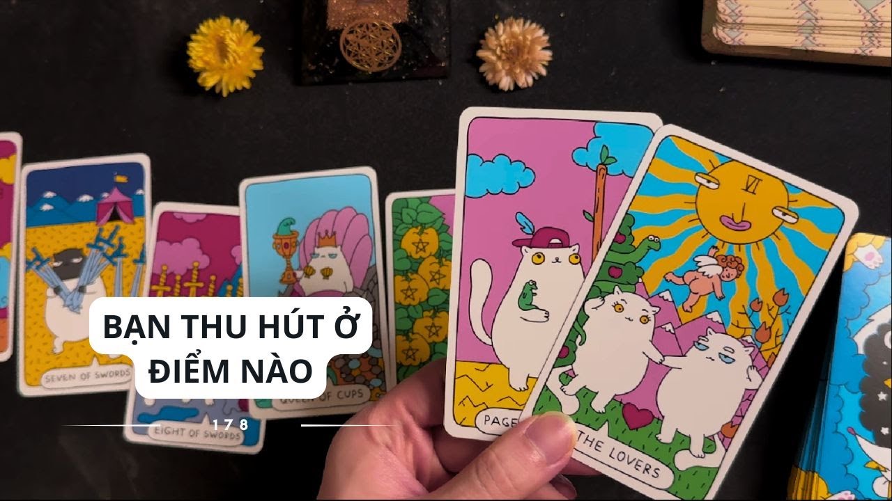 Bạn hấp dẫn thu hút ở điểm nào? ✨