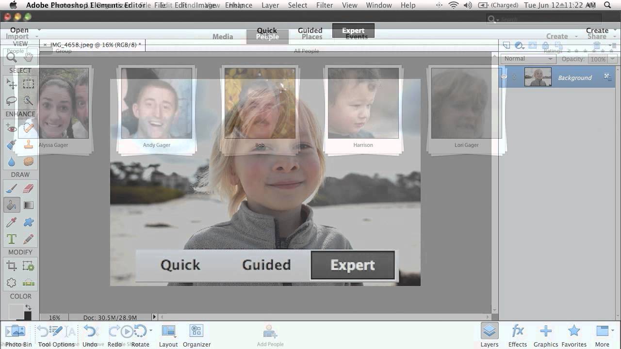 adobe photoshop elements 16 release date