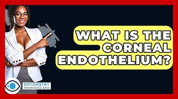 What Is The Corneal Endothelium? - Optometry Knowledge Base