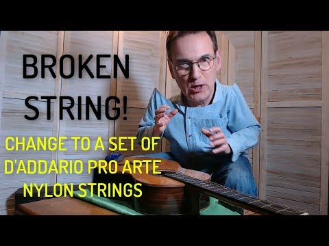 D'Addario Pro Arte