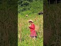 17 year old heartbroken girl returns to a lonely life on a small farm