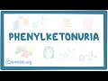 Phenylketonuria  causes symptoms diagnosis treatment pathology