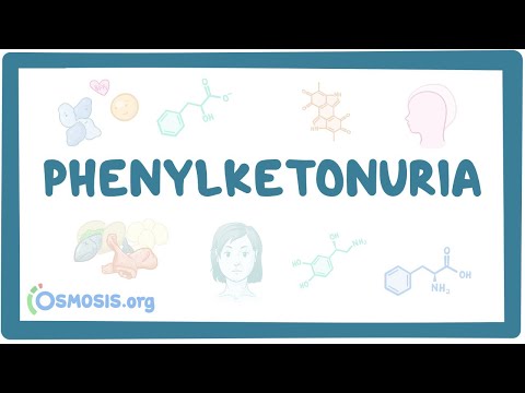 Phenylketonuria - causes, symptoms, diagnosis, treatment, pathology