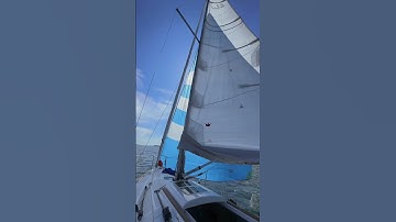 What is your Sailing preference? Monohull or Multihull (Catamaran) #sailboat #catamarans #monohull