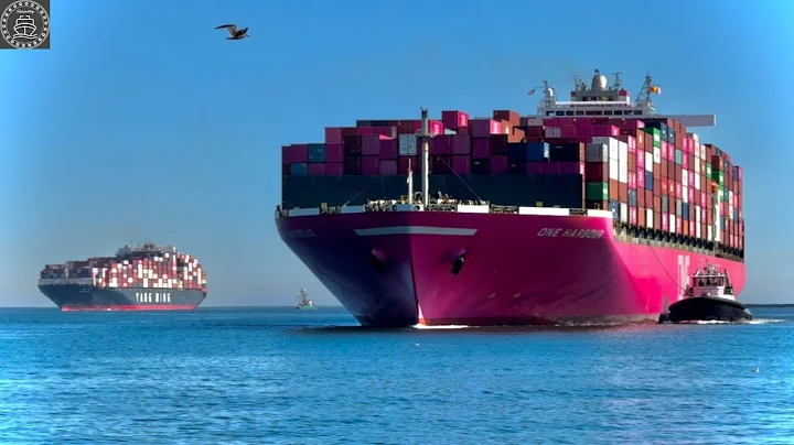 LOS ANGELES CALIFORNIA MARITIME TRAFFIC - SHIPSPOTTING November 2025