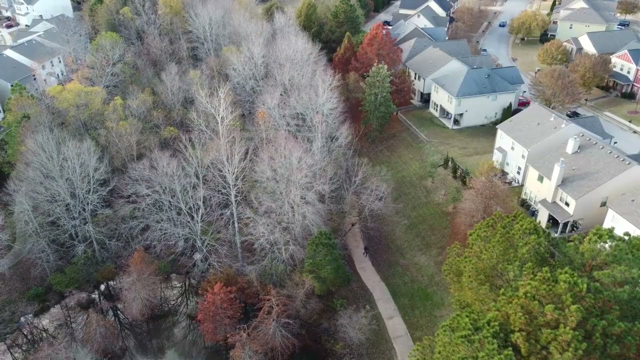 Newnan Lakes Park: A Documentary