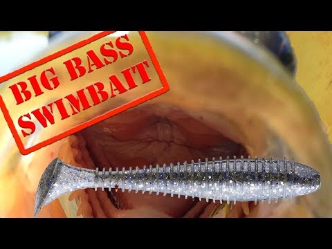 Small Swimbaits for Big Bass - Ott Defoe