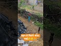 बहन से मिलने आया भाई😯😯🙏🙏trending#shorts video#viral