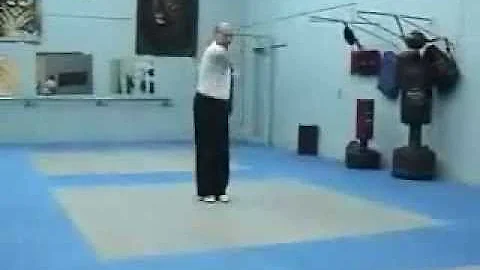 Bruce Currie's Fighting System The Snake