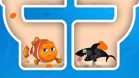 Hero rescue fish! Save the Fish Levels 11-20 /All Levels/
