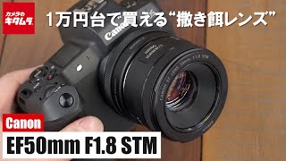 Canon 交換レンズ EF50F1.8 STM