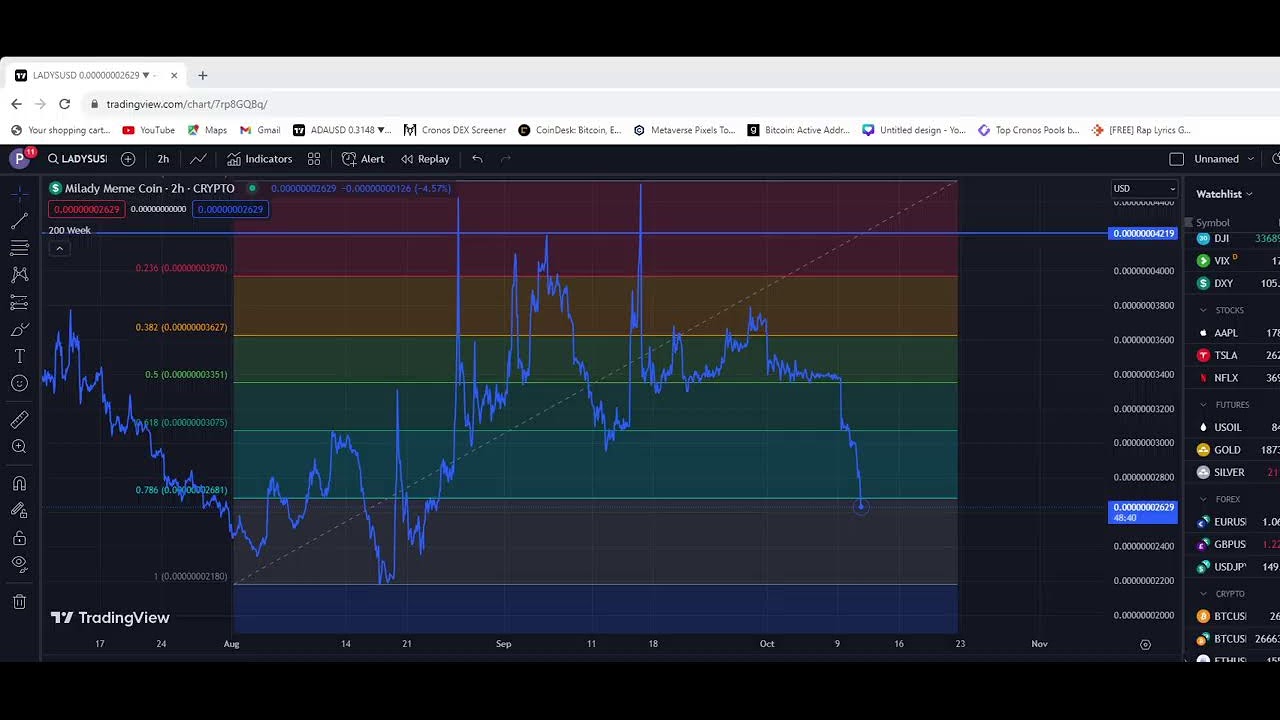 MILADY MEME COIN LIVE STREAM & CHAT