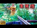 【MULTI SUB】日軍追捕村姑踏入叢林，卻不料每一步都是致命陷阱，有來無回！ | HD1080 |#動作片#槍戰#功夫#抗日