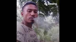 Download Lagu Birunya Rindu Ku...Yandri Muloko MP3