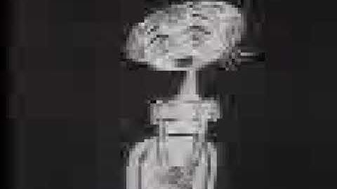 The Many Loves of Dobie Gillis Intro (Low Quality)