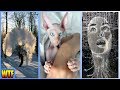 🔥Top rated funny weird and amazing videos of the week 20 🔥 😂🤔😲😎