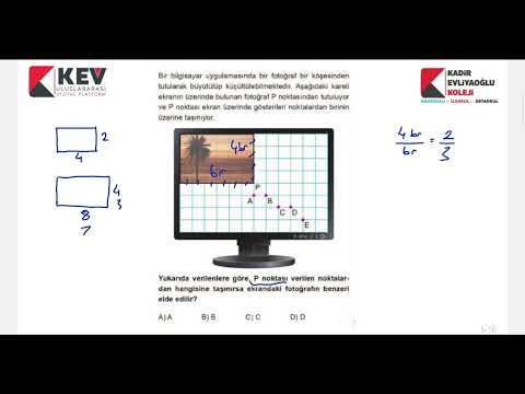 LGS 2024 Matematik / Eşlik ve Benzerlik - 10