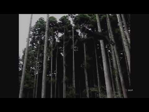 Mokujin S Ending Movie Ps1 