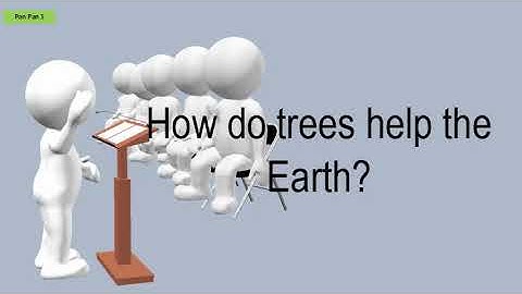 How Do Trees Help The Earth?