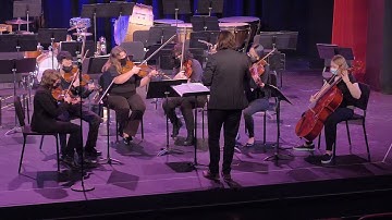 String Quartet no. 3 in F major, op. 73, III. Allegro non troppo