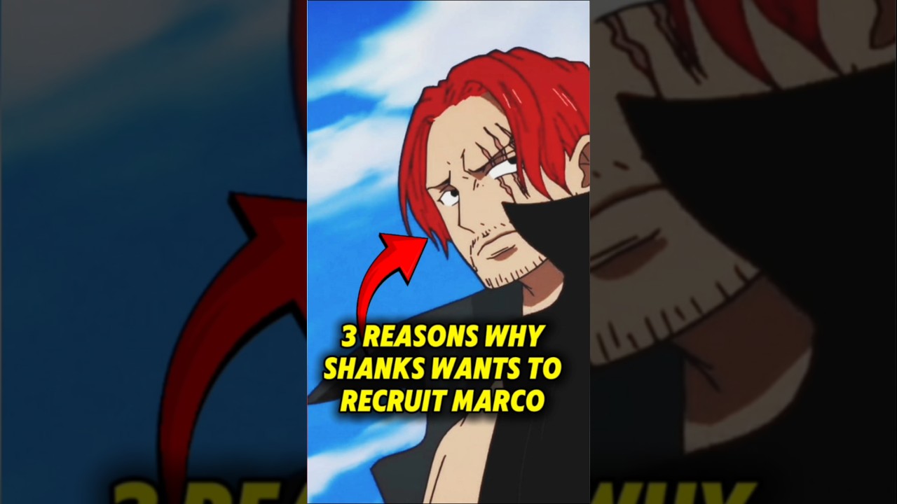WHY SHANKS WANTS TO RECRUIT MARCO 