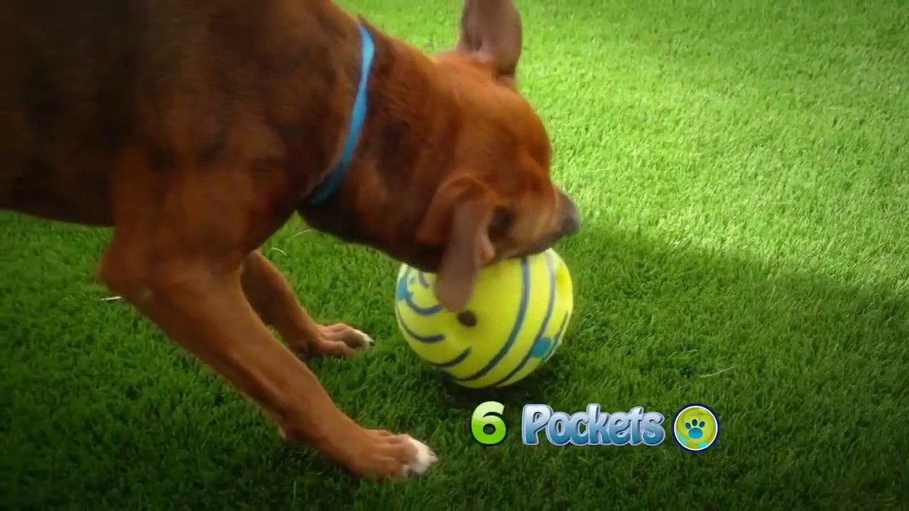 wiggle waggle ball