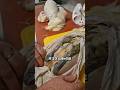 세상에서 가장 비싼 닭 thumbnail