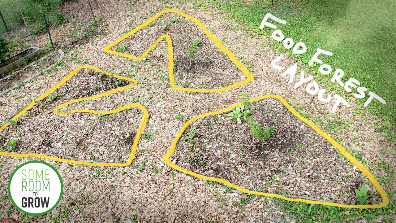 Starting a FOOD FOREST | Ep. 4 - Five Tips for an Efficient Garden ...