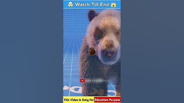 Could A Bear Skull Stop A Bullet? 😱 #shorts​ #facts​ #shortsfeed​ #3danimation​