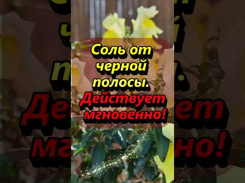 Соль От Черной Полосы. Действует Мгновенно!