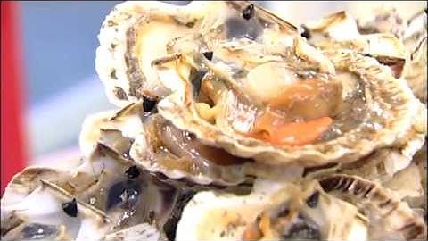 Scallop Processing in the Seafood Industry | 03