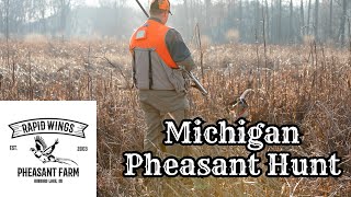 Michigan Pheasant Hunt  Rapid Wings Farm