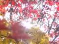 Download DPRK Songs 2-02 나를 부르는 소리 The Voice that Calls Me DPRK Songs 2-02 나를 부르는 소리 The Voice that Calls Me