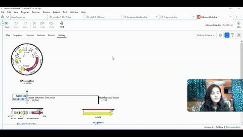 Gibson Assembly - Snapgene | Learn How to design plasmid/Vector using Gibson assembly technique