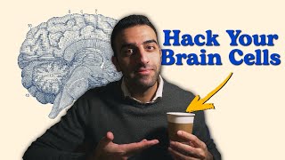 7 HACKS to 10x your Memory | Doctor's Secret