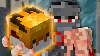 The TRUTH About the Golden Dragon Pet (Hypixel SkyBlock)
