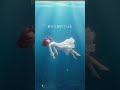 深い海の底で。(シンデレラ - 重音テト) #idiotpop #重音テト #shorts #fyp #ボカロ