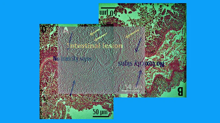 BFE0D6D7ABE1B6A1357C62EE3570F4#3