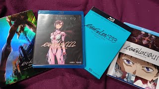 Evangelion Reborn Disk reviews