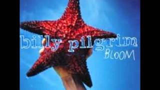Video thumbnail of "Billy Pilgrim - Watching"