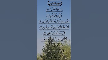 THE Beautiful SURAH AL TEEN سورة التين #egzonibrahimi #surahalteen #quran #love