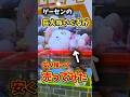 ゲーセンの巨大ぬいぐるみ取って売ってみた!? #ゲームセンター #クレーンゲーム #ufoキャッチャー