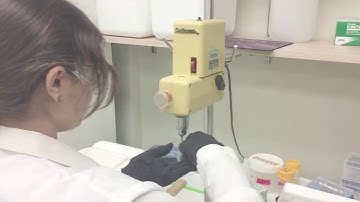 Faris Lab Mannequin Challenge