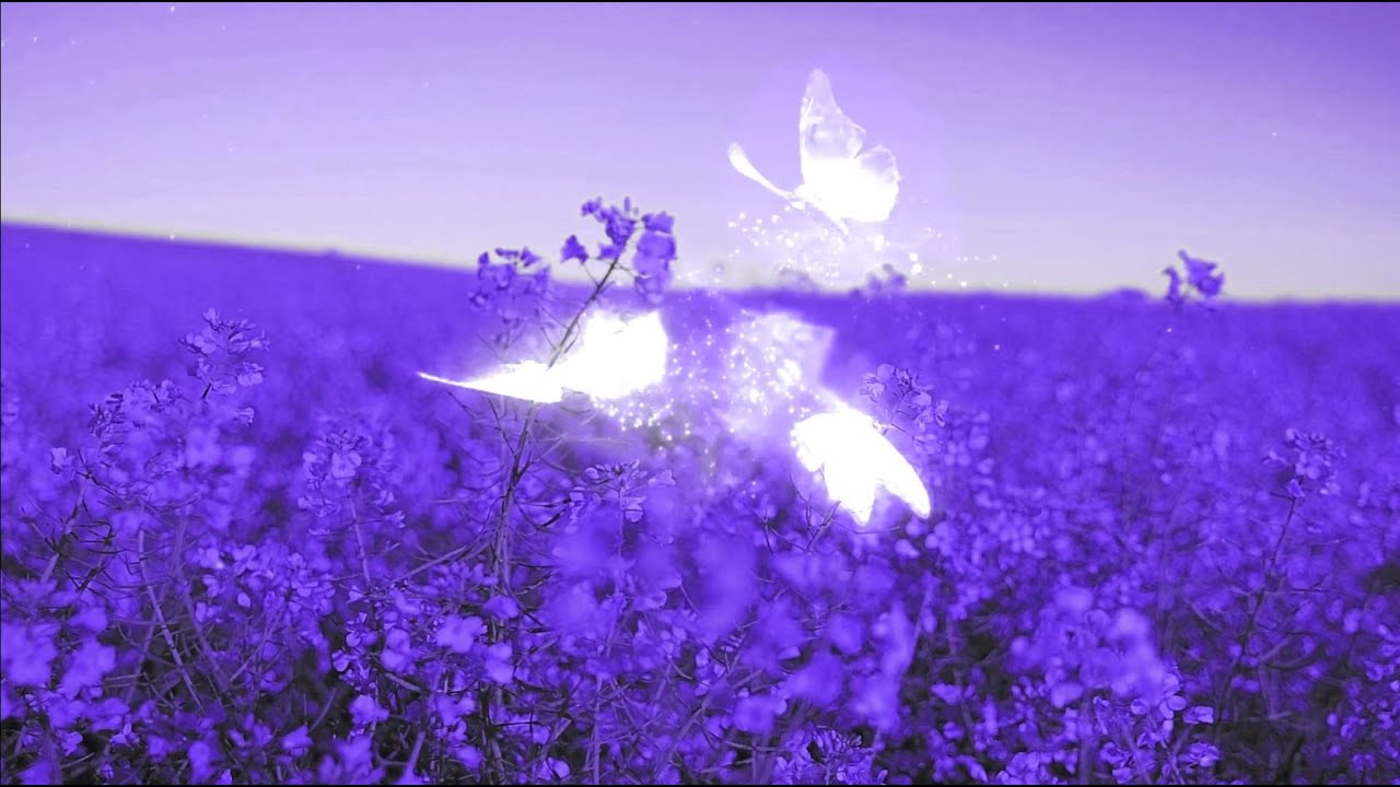 Stoned Bit - Guess  What (Ft. Mansasworld) [Music Video]