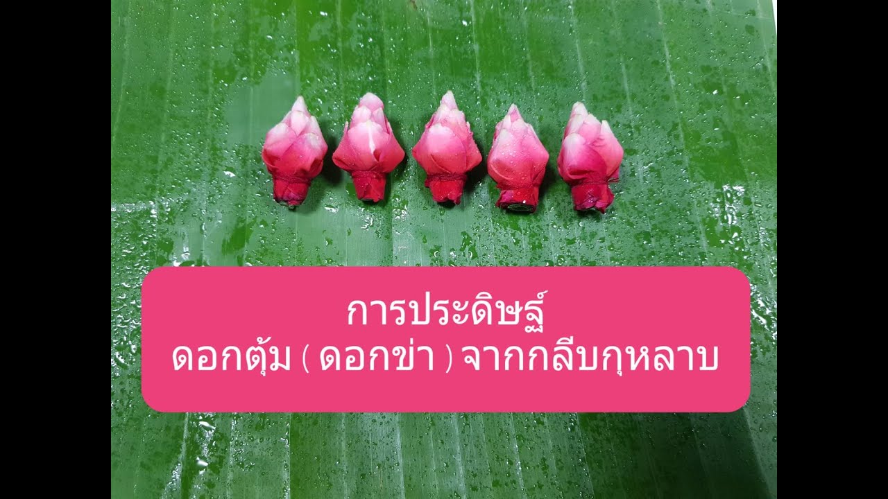 การประดิษฐ์ดอกตุ้ม(ดอกข่า)